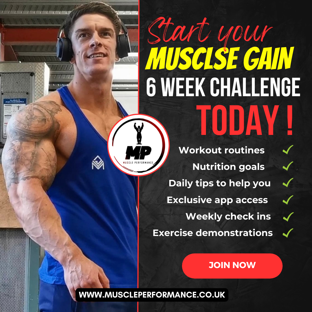 MENS MUSCLE GAIN CHALLENGE